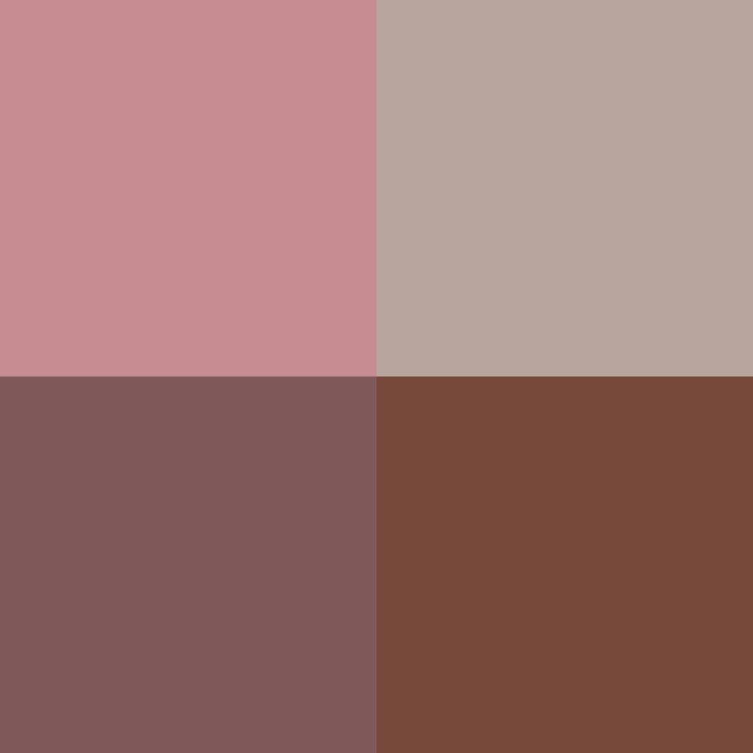 02 Rosewood gradation (4,2 g)